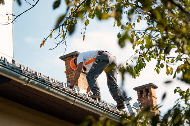 Steel Roofing in Purvis, MS