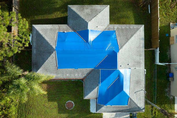 Best Solar Panel Roofing Installation  in Purvis, MS